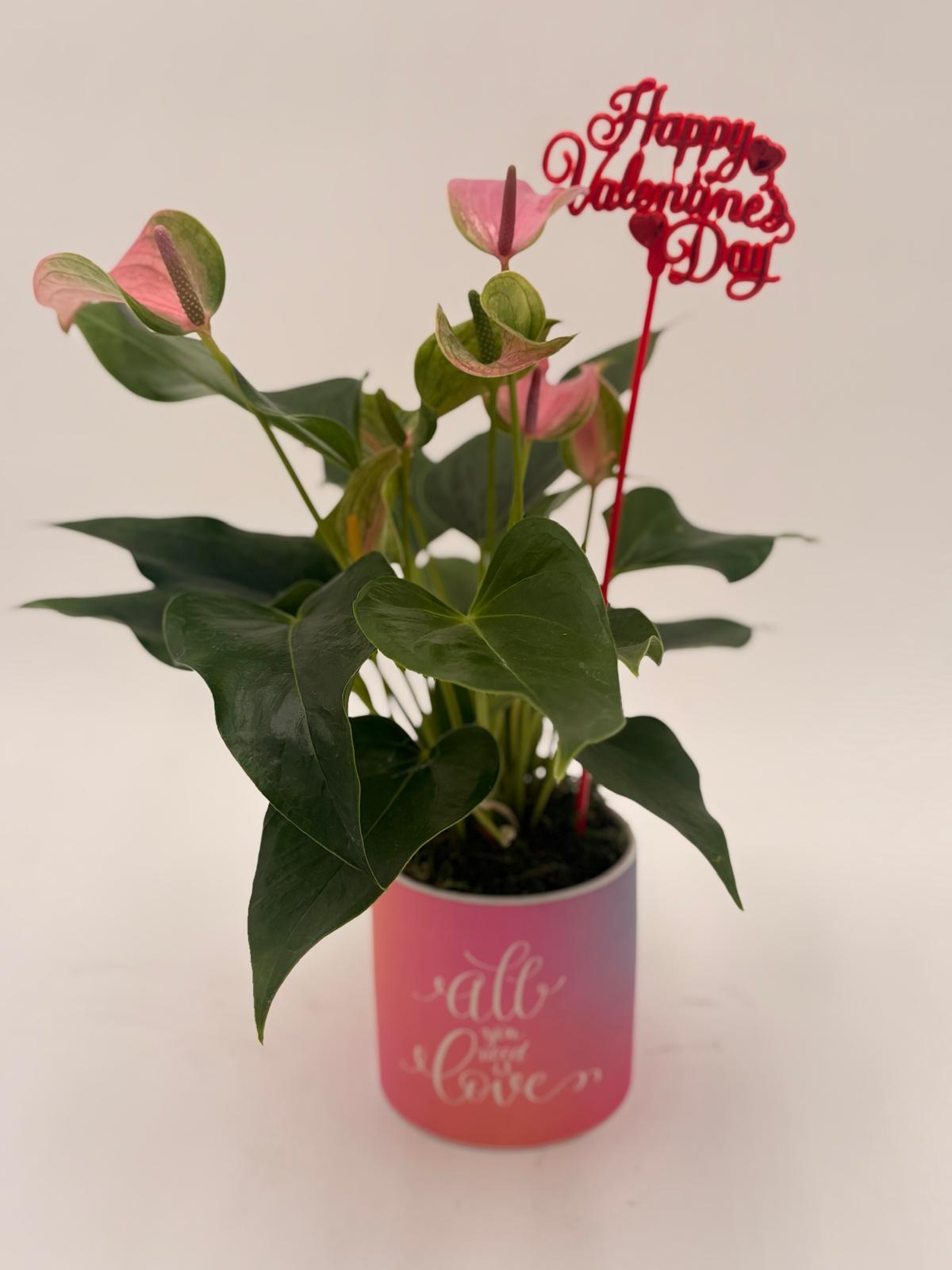 Love Blooms