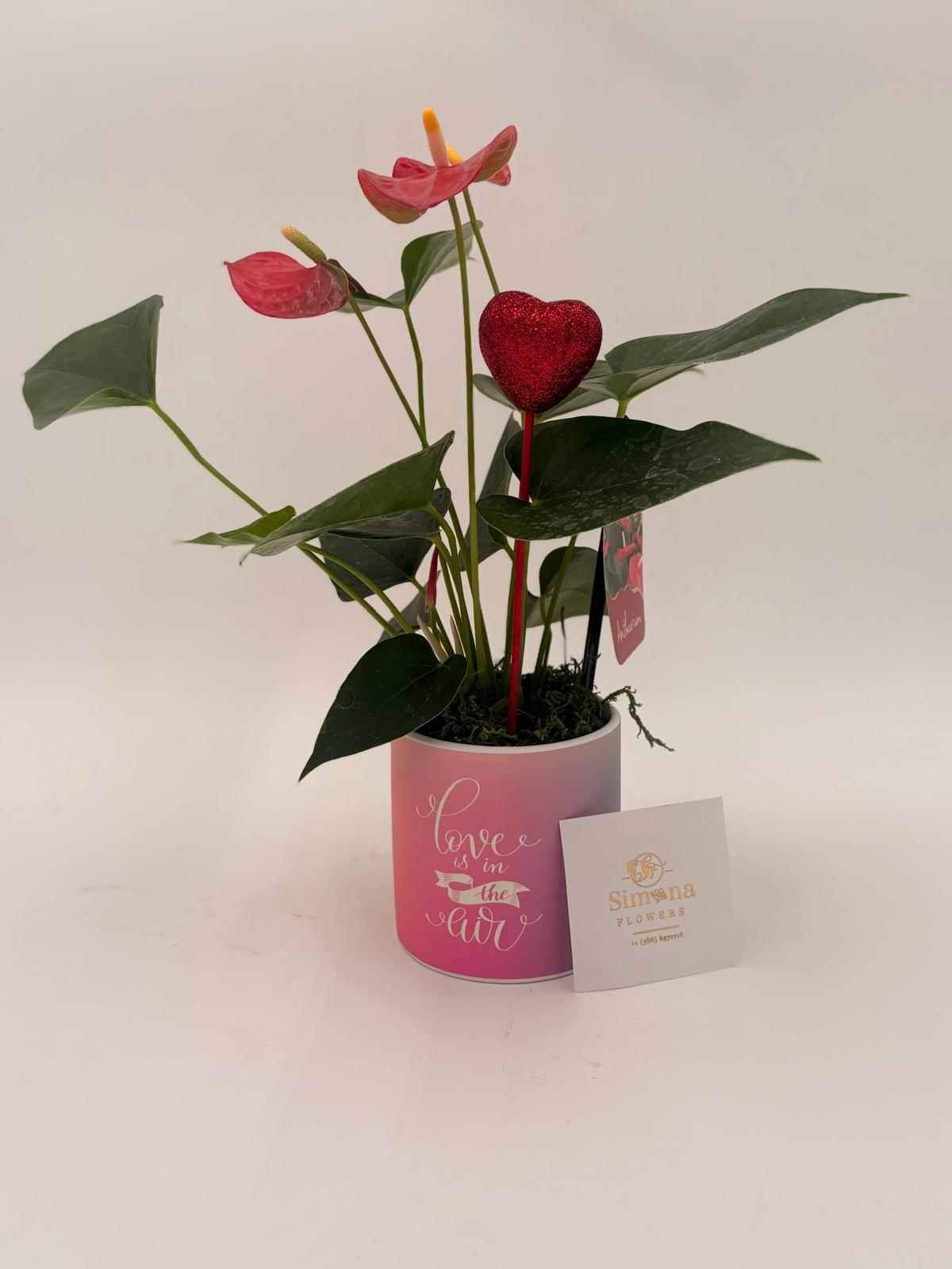 Love Blooms